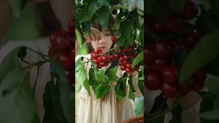 Cery🍒🍒🍒 shorts fruit satisfying [upl. by Nathanial]