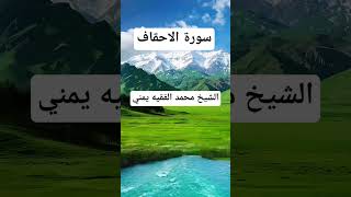 Beautiful Recitation of Surah Al Ahqaf  Sheikh Muhammad Al Faqih  Learn Quran Deeply quran [upl. by Ecnarolf188]