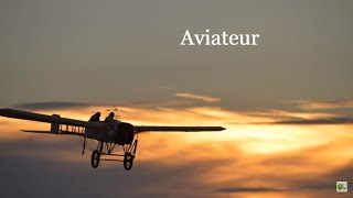 Aviateur  Véronique Jannot Paroles [upl. by Jarrell920]