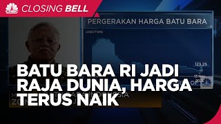 Harga Terus Naik Batu Bara Indonesia Jadi Raja Dunia [upl. by Ruiz]