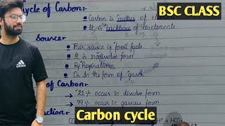 Carbon cycle  Class Bsc amp Bs [upl. by Stoecker372]