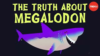 Massive 50foot ‘megalodon’ detected in Atlantic Ocean stuns scientists  New York Post [upl. by Airetas]