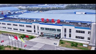 JINGDONG Logistics empowers the automated upgrade of Tianjin Mengniu Dairy Intelligent Warehouse [upl. by Ivetts616]