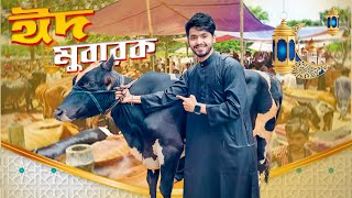 Eid Mubarak  ঈদ মোবারক  Qurbani EidSpecial VLOG 2023  Mehedi Hassan [upl. by Bessy]