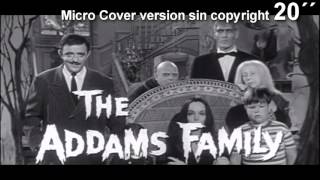 LOS LOCOS ADAMS  MICRO COVER 20quot SIN COPYRIGHT [upl. by Inot164]