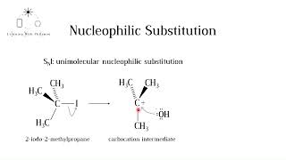 SN1 Nucleophilic Substitution Mechanism IB HL and A level Chemistry [upl. by Jilli458]