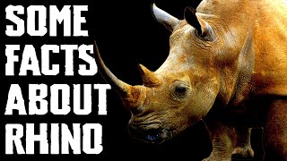 Some Facts About Rhino [upl. by Midan]