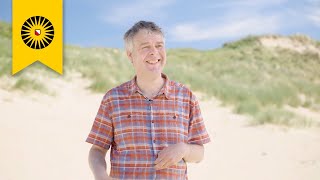 Why do these Dutch dunes have gaps The play between wind sand and biodiversity in Bloemendaal [upl. by Dachia]