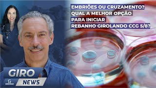 Embriões ou Cruzamento Qual a Melhor Opção para Iniciar Rebanho Girolando CCG 58  Gironews 44 [upl. by Ettezel]