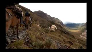 Reportaje al Perú Gran Pajatén el tesoro de los chachapoyas  cap 2 [upl. by Noguchi]