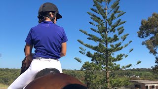 Dressage Novice 2A 2019 Aus USEF First level test 1 655 Arthritis of the hocks [upl. by Ahsekel]