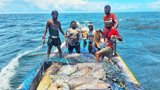 Jackpot day Small fishing boat Fisherman caught lot of cuttle fish on the sea using nylon nets [upl. by Nospmas18]