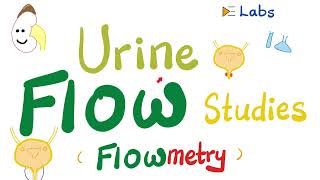 Urinary Incontinence amp Urine retention  Urine flow studies Flowmetry  Urodynamic StudiesUrology [upl. by Ailaht]