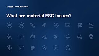 What Are Material ESG Issues [upl. by Scrivens]