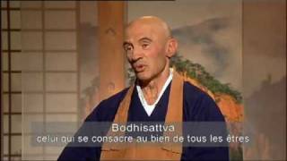 Sagesses Bouddhistes  Le 2ieme voeu du bodhisattva [upl. by Amlet812]