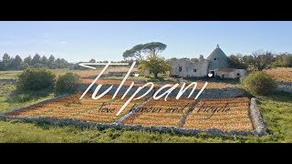 Tulipani Love Honour and a Bicycle — Trailer [upl. by Florencia]