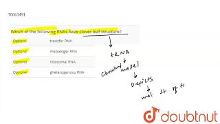 Which of the following RNAs have clover leaf structure [upl. by Emogene]