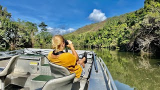 Bird Watching  Daintree River  Far North Queensland  Australia  2024 [upl. by Farrand]