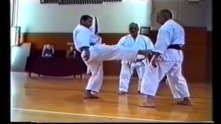 Shihan Taiji Kase 加瀬 泰治 i Andorra 1997  Maegeri [upl. by Hakceber]