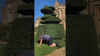 This guy cut the grass PT2 shorts youtubeshorts shortsfeed viralvideo viralshort [upl. by Yasdnil238]