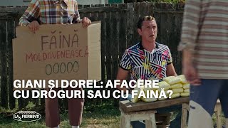 Giani și Dorel Afacere cu droguri sau cu făină  Las Fierbinți 2023 [upl. by Lenrad692]