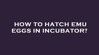 How to hatch emu eggs in incubator [upl. by Bove]