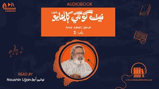 Neth Goongay Galhayo  Amar Jaleel  Audiobook  Chapter 3 [upl. by Noiz]