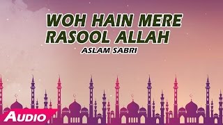 Wo Hain Mere Rasool Allah Full Audio Song  Aslam Sabri  Sonic Islamic [upl. by Hareemas166]