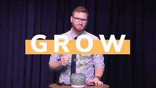 All In  Grow [upl. by Hy]