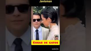 Cosas de gatos 😂 humor funny dúo risas yonocreoenloshombres comedy viralvideo [upl. by Aig]