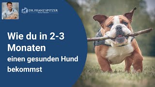 Wie du endlich einen gesunden Hund bekommst [upl. by Slaby]