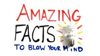 Amazing Facts to Blow Your Mind Pt 1 [upl. by Aleik]