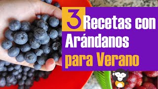 3 RECETAS FÁCILES CON JUGO DE ARÁNDANOS para VERANO 💜🔥😛 [upl. by Iahk707]