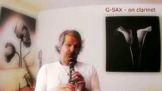 GSAX on Clarinet  solo freestyle improvisation [upl. by Dekow]