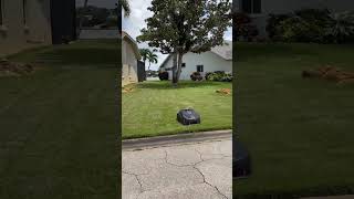 Roomba for the lawn in Fountain Lakes in Estero Florida [upl. by Airehc922]