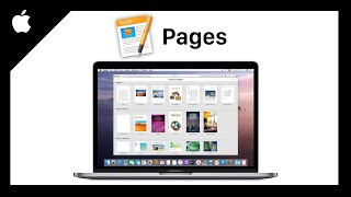 Pages  Tutorial for Beginners in 12 MINUTES  COMPLETE Guide [upl. by Assena]