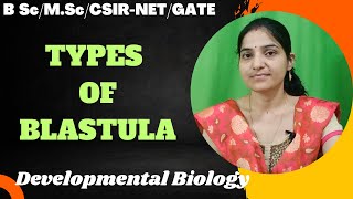 Types Of Blastula bc 3rd yearMSc Blastulation and Its Typesdevelopmentalbiology gnb [upl. by Ahsele]