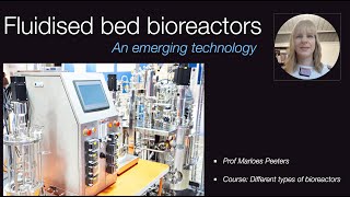 Fluidised bed bioreactors for biotechnology applications [upl. by Ula197]