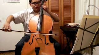 Beethoven 9th symphony 4th mvt cello excerpt [upl. by Ploch]