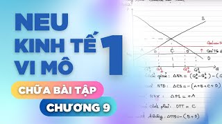 NEU  KINH TẾ VI MÔ 1  CHƯƠNG 9  CHỮA BÀI TẬP [upl. by Nigen]