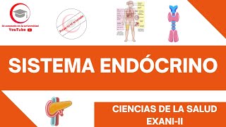 SISTEMA ENDÓCRINO  CIENCIAS DE LA SALUD  EXANIII 2024 [upl. by Ardnot405]