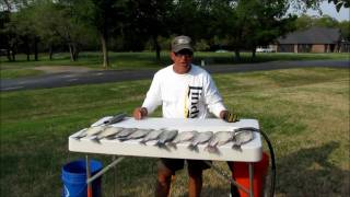 How to Clean Crappie [upl. by Zelikow535]