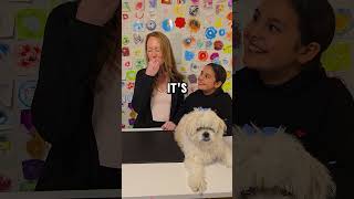 Candy thats dog food 🤔 shorts short youtubeshorts youtubeshort funny fyp viralvideo viral [upl. by Nayt171]