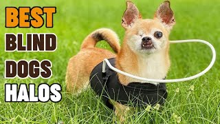 Halos for Blind Dogs  Most Amazing Halos for Blind Dog Review [upl. by Giark]