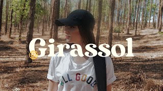 Girassol  Priscilla Alcantara Whindersson Nunes  Jeandra Alves  Cover [upl. by Eidnahs]