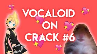 VOCALOID ON CRACK 6 [upl. by Nylak]