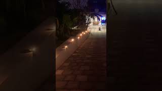 diwalidipawali youtube happydiwali song shorts [upl. by Lasky]