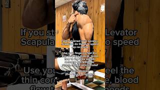 Strained Levator Scapulae Speedy Recovery Exercise [upl. by Genni193]