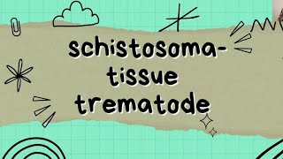 Schistosoma  tissue trematode [upl. by Whiting]