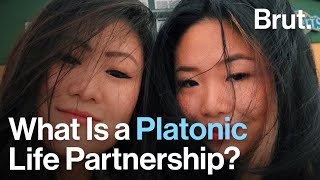 What Is a Platonic Life Partnership [upl. by Aelsel582]